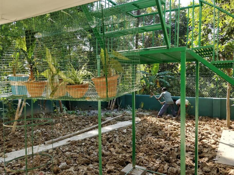 Bhitey Homestay Simantapally / Shantiniketan Exterior photo